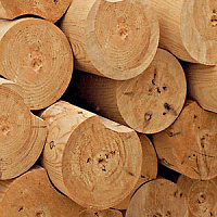 Оцилиндрованное бревно 280 мм